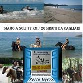 Foto 3 Stage equestre gratuito