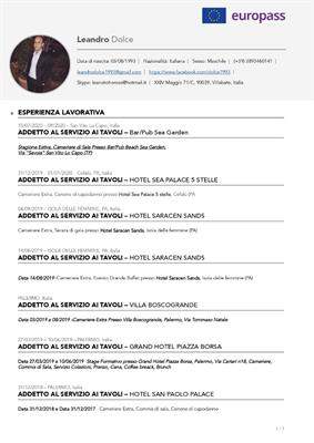 Tirocinante di crescere in digitale con garanzia giovani