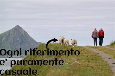 Tutto fare