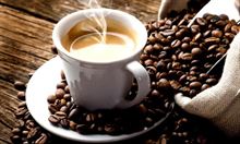 Barista - tavola fredda