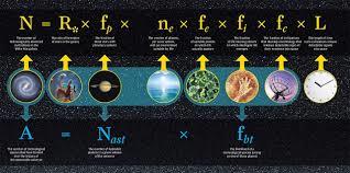 Ripetizioni e lezioni su materie scientifiche