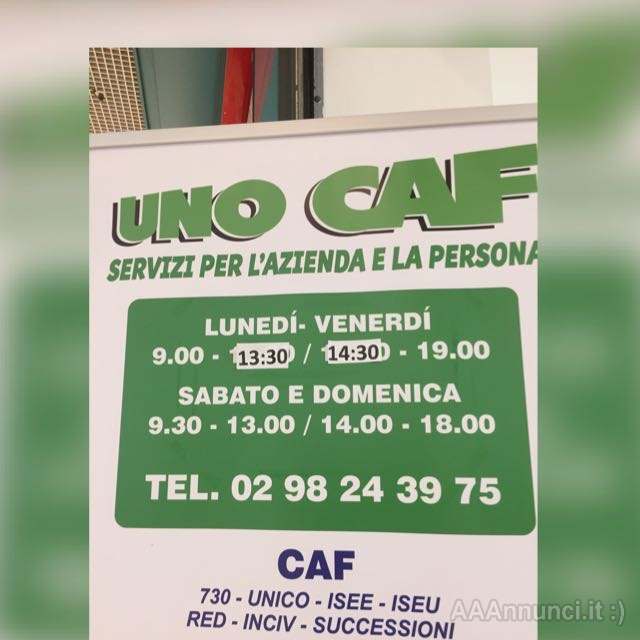 Cercasi Collaboratrice