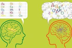 Tecnico dell'apprendimento per DSA e BES