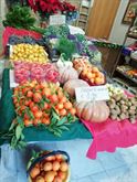 Attività ortofrutta