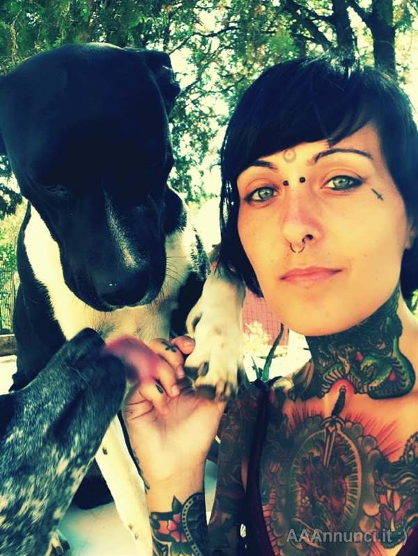 Petsitter