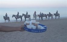 Foto 4 Stage equestre gratuito