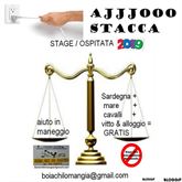 Stage equestre gratuito