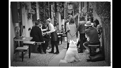 Lavoro stagionale a Bellagio Co - in bar boutique