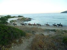 Foto 2 Stage equestre gratuito
