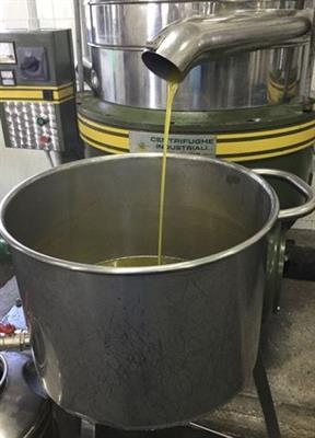 Olio produzione Biologico