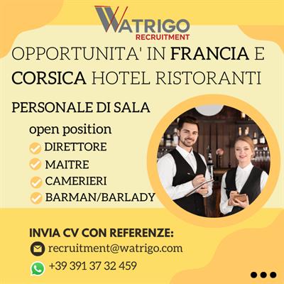 Camerieri Lingua Francese - Foto 3