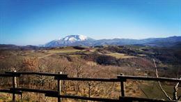 Posizione alla pari in agricoltura