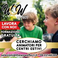 Ricerca Animatori