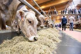 FATTORE AZIENDA AGRICOLA