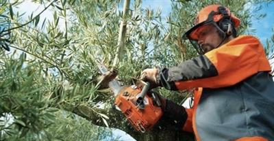 Giardiniere Manutentore Specializzato