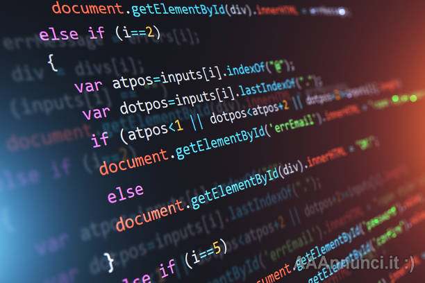 Programmatore web / Maker