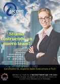 Attività di account per telecomunicazioni e