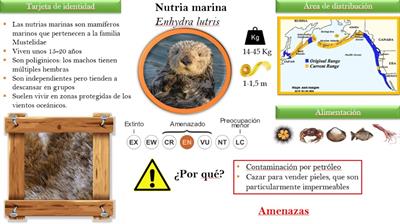 SCRITTURA TESINE E POWER POINT