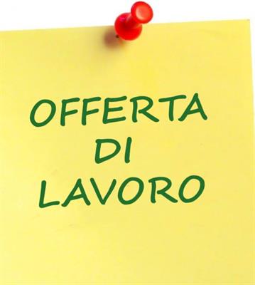 Offresi Lavoro a Ragazza X Recarsi Fare Spese Shopping