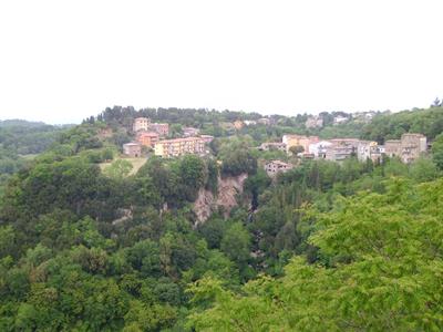 Domestico - Autista - Giardiniere - Manutentore