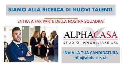 AGENTE IMMOBILIARE