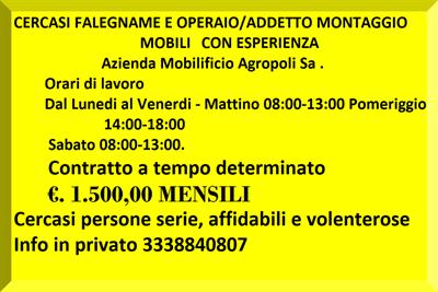 FALEGNAME E ADDETTO MONTAGGIO MOBILI CON ESPERIENZA