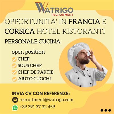 Camerieri Lingua Francese