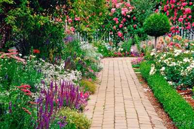 Giardinieri diplomati in agraria