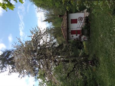ALBERI PER LEGNA DA ARDERE